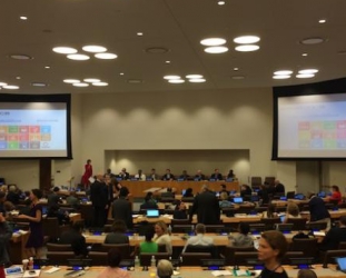 Alliance represents co-operative movement at SDG Business Forum