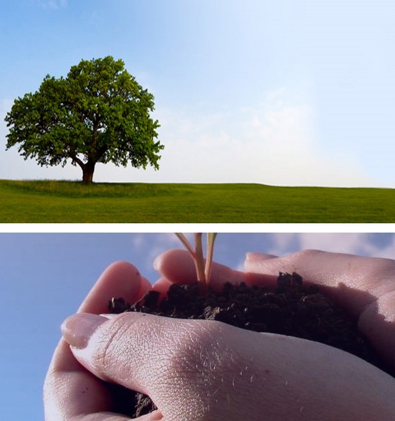 Report 2012 - Climate change and consumer co-operatives