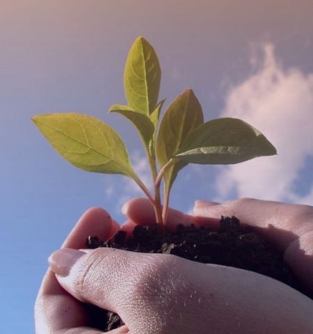 Report 2011 - Climate Change and Consumer Co-operatives