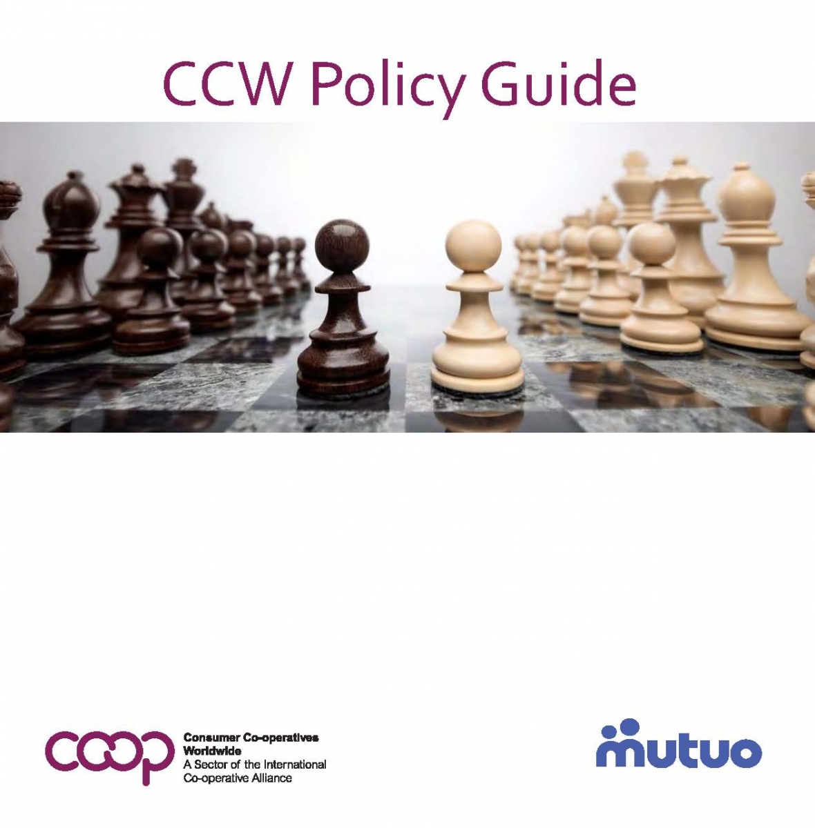 CCW Publishes First-Ever Policy Guide